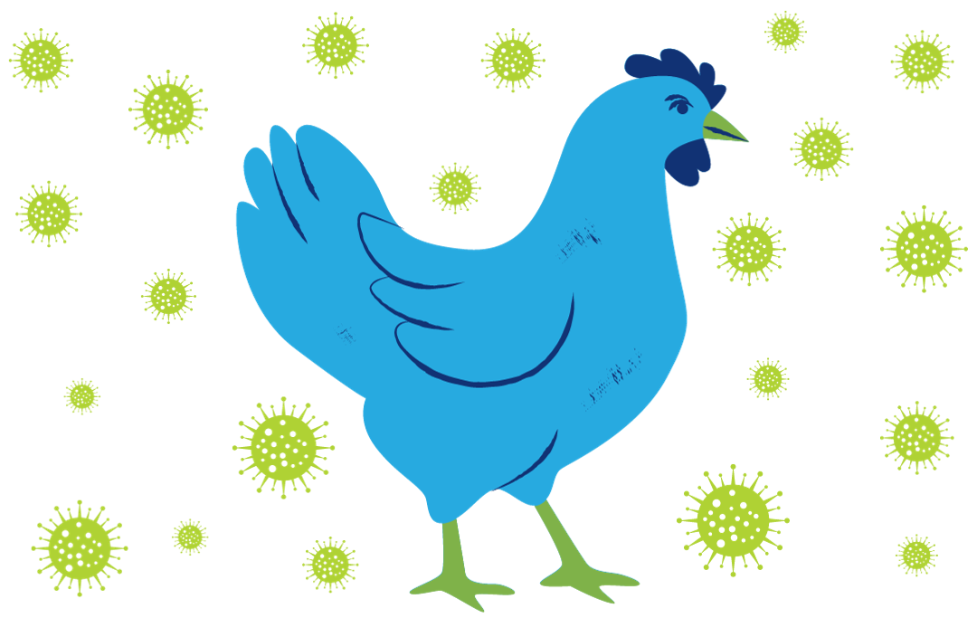 Bird Flu